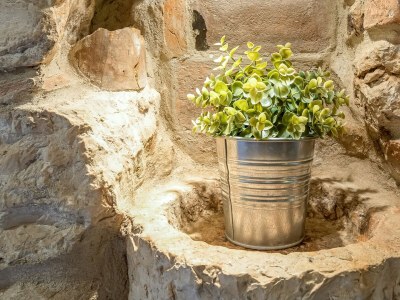 Apartment Dino Rovinj - Outdoor photo 4