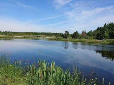 Holiday house 8 person holiday home in Vinderup-By Traum - Outdoor photo 9