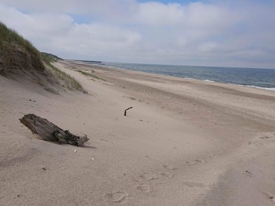 Holiday house 8 person holiday home in Vinderup-By Traum - Outdoor photo 32