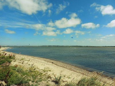 Holiday house 8 person holiday home in Vinderup-By Traum - Outdoor photo 33