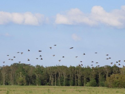 Holiday house 8 person holiday home in Bogense-By Traum - Outdoor photo 32