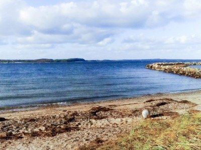 Holiday house 6 Personen Ferienhaus in Farsø-By Traum - Outdoor photo 38