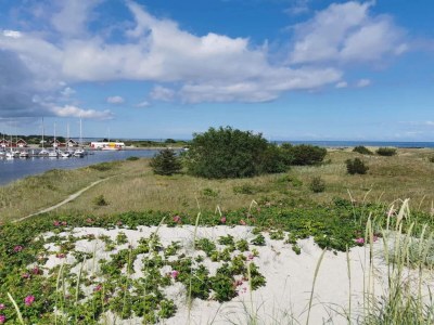 Holiday house 8 person holiday home in Hals-By Traum - Outdoor photo 13