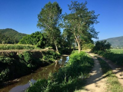 Holiday house Holiday Home in Citerna near Castello Bufalini - Environment photo 30