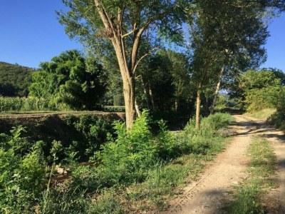 Holiday house Holiday Home in Citerna near Castello Bufalini - Environment photo 32