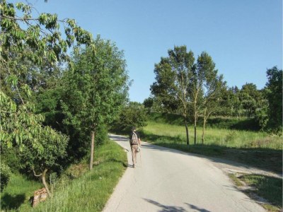 Holiday house Holiday Home in Citerna near Castello Bufalini - Environment photo 35