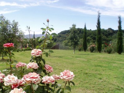 Holiday house "Casa Baffo" - Outdoor photo 7