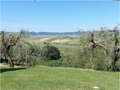 Holiday house "Casa Baffo" - Outdoor photo 12