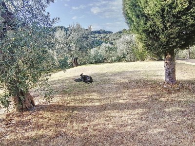 Holiday house "Casa Baffo" - Outdoor photo 15