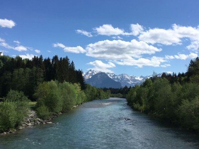 Apartment Goldvogel Apartments - Environment photo 23