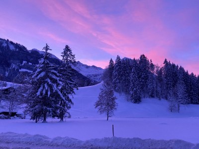 Apartment Goldvogel Apartments - Environment photo 24