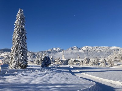 Apartment Goldvogel Apartments - Environment photo 26