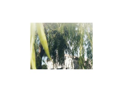 Apartment Complex Jelena - Studio Apartment Sundy - Outdoor photo 7