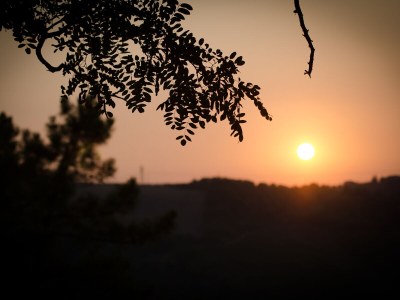 Villa Rosa - Outdoor photo 6