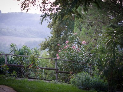 Villa Rosa - Outdoor photo 8