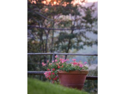 Villa Rosa - Outdoor photo 12