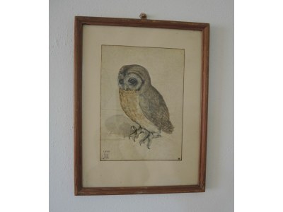 Holiday house La Civetta - Outdoor photo 22