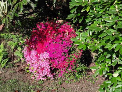 Holiday house La Civetta - Outdoor photo 25