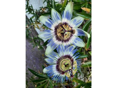 Holiday house La Civetta - Outdoor photo 33