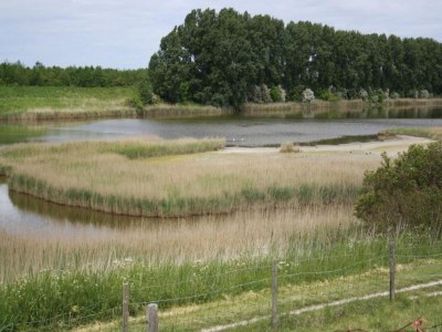 Holiday house Zeeland Family Retreat - Environment photo 27