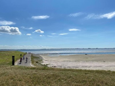 Holiday house Zeeland Family Retreat - Environment photo 31