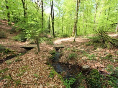 Holiday house House in Vosges near Lichtenberg Castle - Environment photo 21