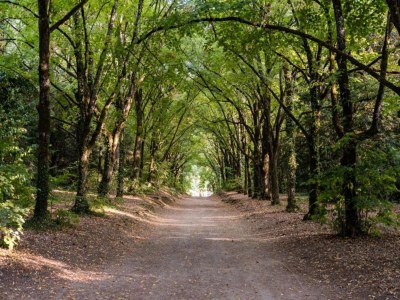 Apartment Elegant Countryside Retreat - Environment photo 33