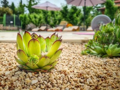 Villa Prima Natura, Imotski - Outdoor photo 20