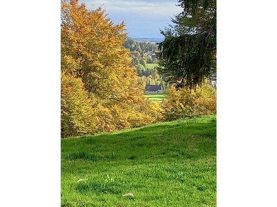 Holiday apartment Henseler - Environment photo 17