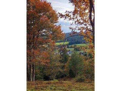 Holiday apartment Henseler - Environment photo 18