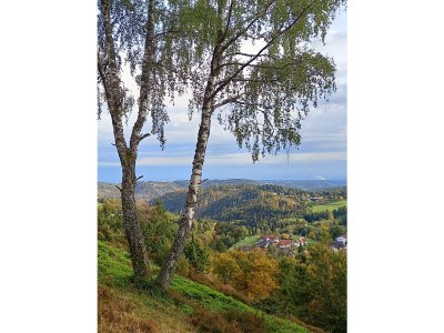 Holiday apartment Henseler - Environment photo 19