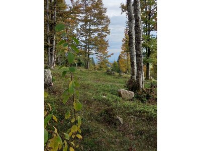 Holiday apartment Henseler - Environment photo 20