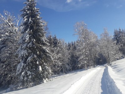 Holiday apartment Henseler - Environment photo 24