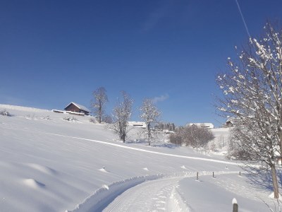 Holiday apartment Henseler - Environment photo 25