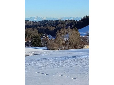 Holiday apartment Henseler - Environment photo 30