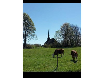 Holiday apartment Henseler - Environment photo 31