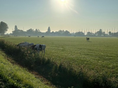 Holiday house Holiday Home in Stavoren by Private Jetty - Environment photo 29
