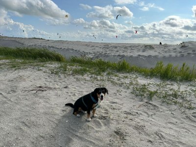 Holiday house Holiday Home in Stavoren by Private Jetty - Environment photo 34