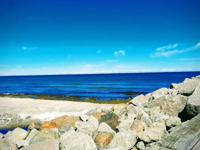 Holiday house 6 person holiday home in Ålbæk-By Traum - Outdoor photo 25