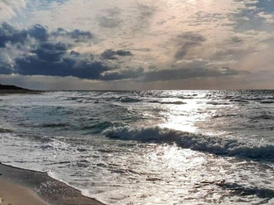 Holiday house 6 person holiday home in Græsted - Outdoor photo 30