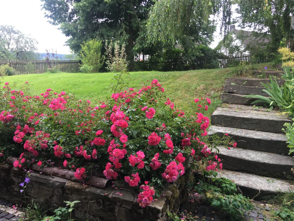 Holiday apartment Am Kirschbaumweg - Outdoor photo 2