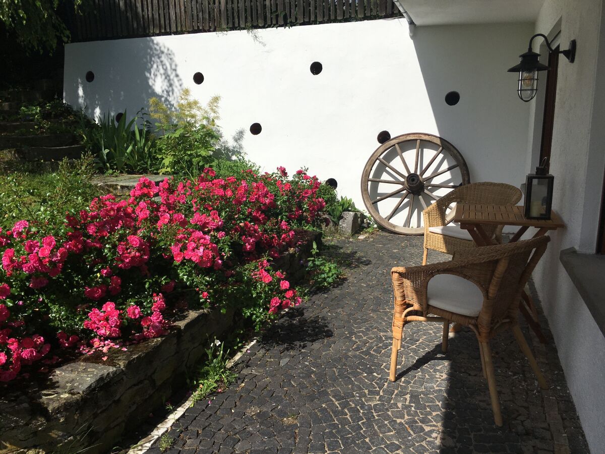 Holiday apartment Am Kirschbaumweg - Outdoor photo 3