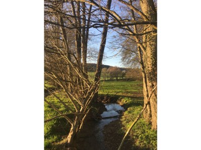 Holiday apartment Am Kirschbaumweg - Environment photo 22