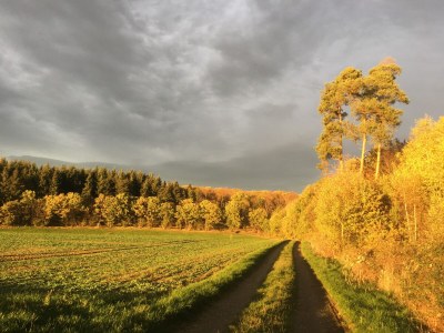 Holiday apartment Am Kirschbaumweg - Environment photo 24