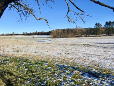 Holiday apartment Am Kirschbaumweg - Environment photo 25