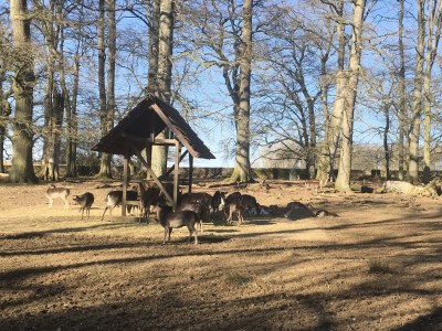 Holiday apartment Am Kirschbaumweg - Environment photo 26