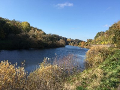 Holiday apartment Am Kirschbaumweg - Environment photo 27