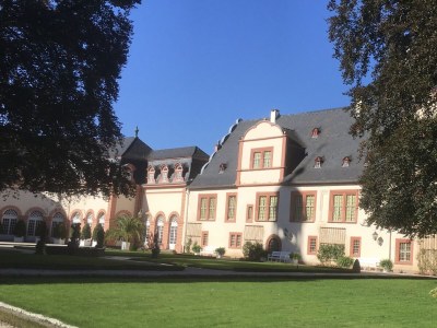 Holiday apartment Am Kirschbaumweg - Environment photo 29