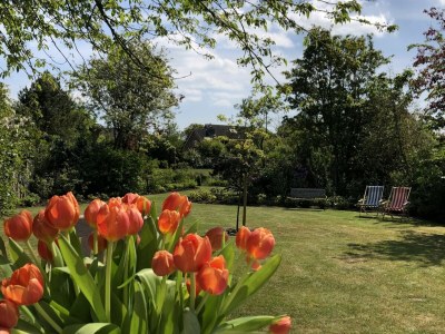 Holiday house Domburgseweg 24 - Environment photo 15