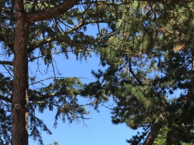 Holiday house Domburgseweg 24 - Environment photo 16